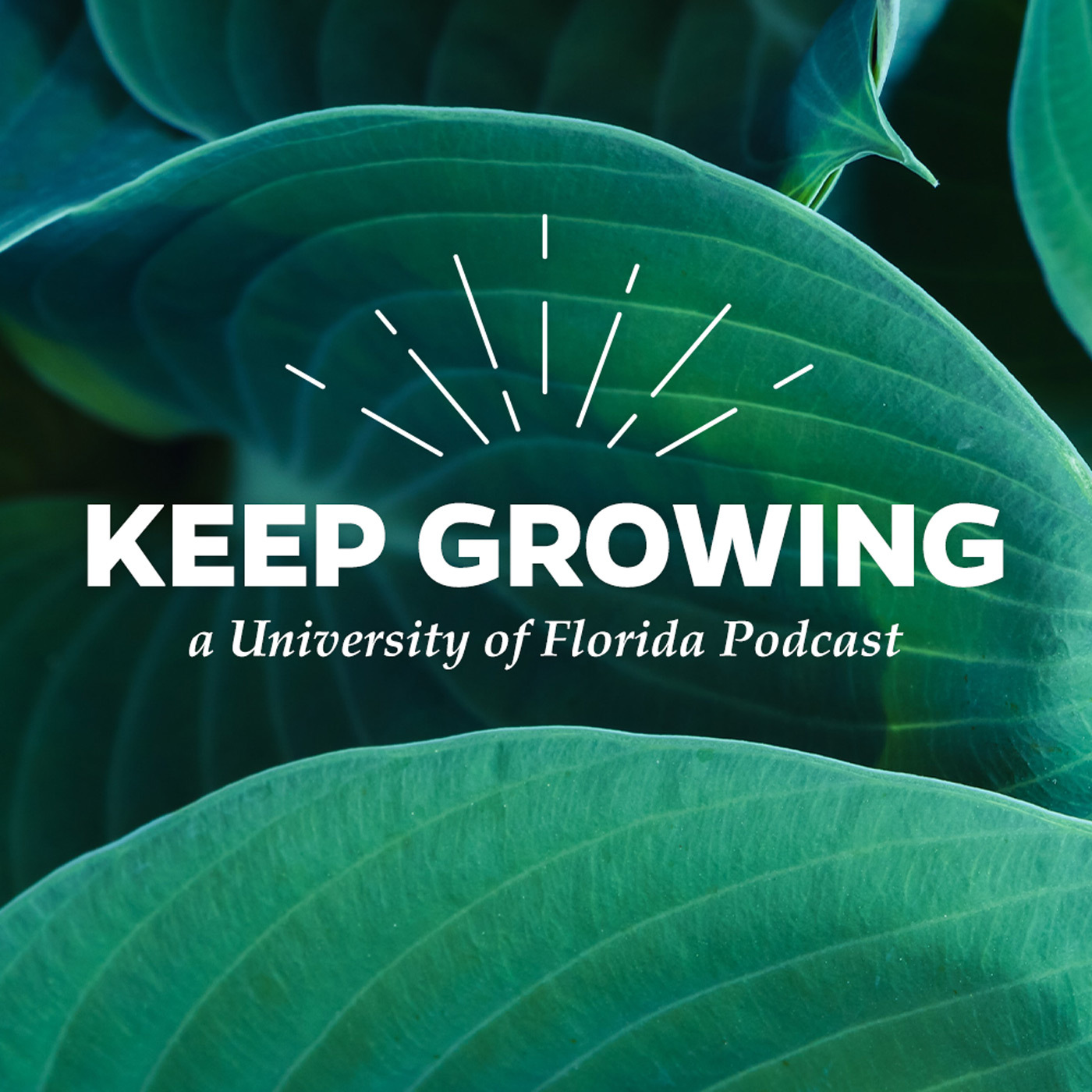 Keep Growing At UF